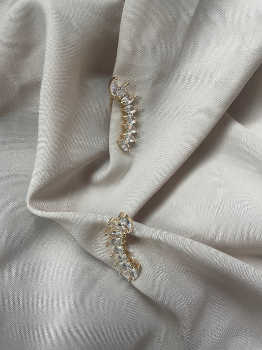 Shani Ear Statement